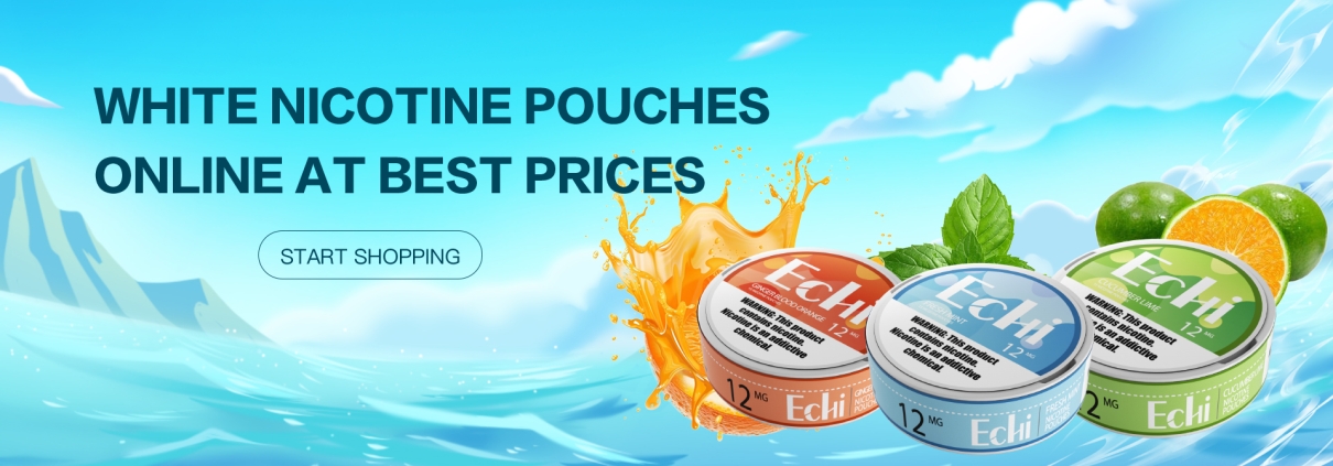 Nicotine Pouches Banner
