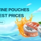 Nicotine Pouches Banner