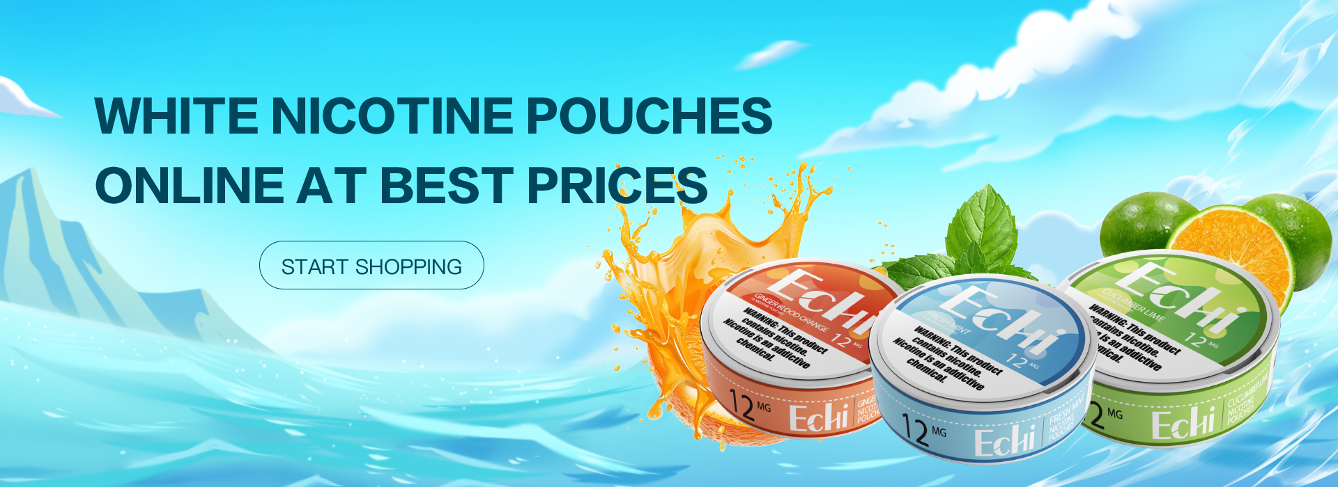 Nicotine Pouches Banner